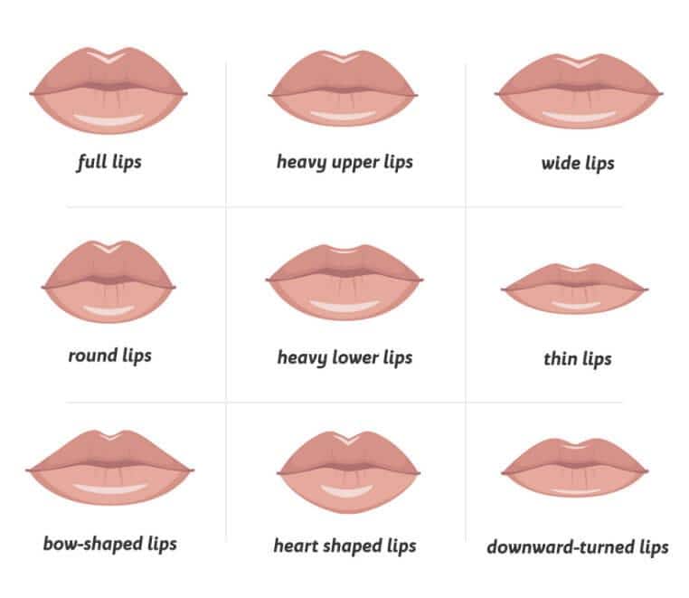 Common Types Lip Augmentations